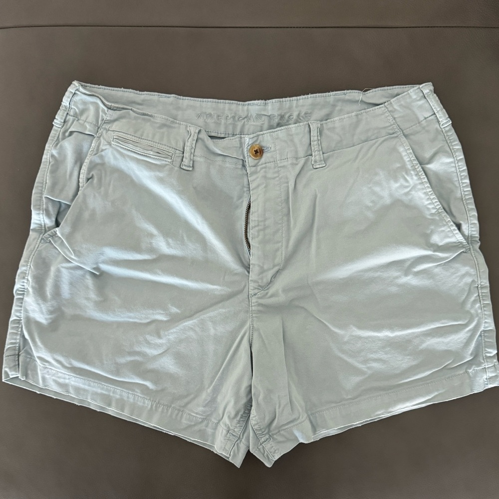 American Eagle Outfitters Light Blue Men’s Flat Front Shorts